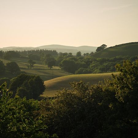 Upper Gelli Luxury Holiday Lodge, Converted Dairy & Cosy Shepherds Huts ويلشبول المظهر الخارجي الصورة